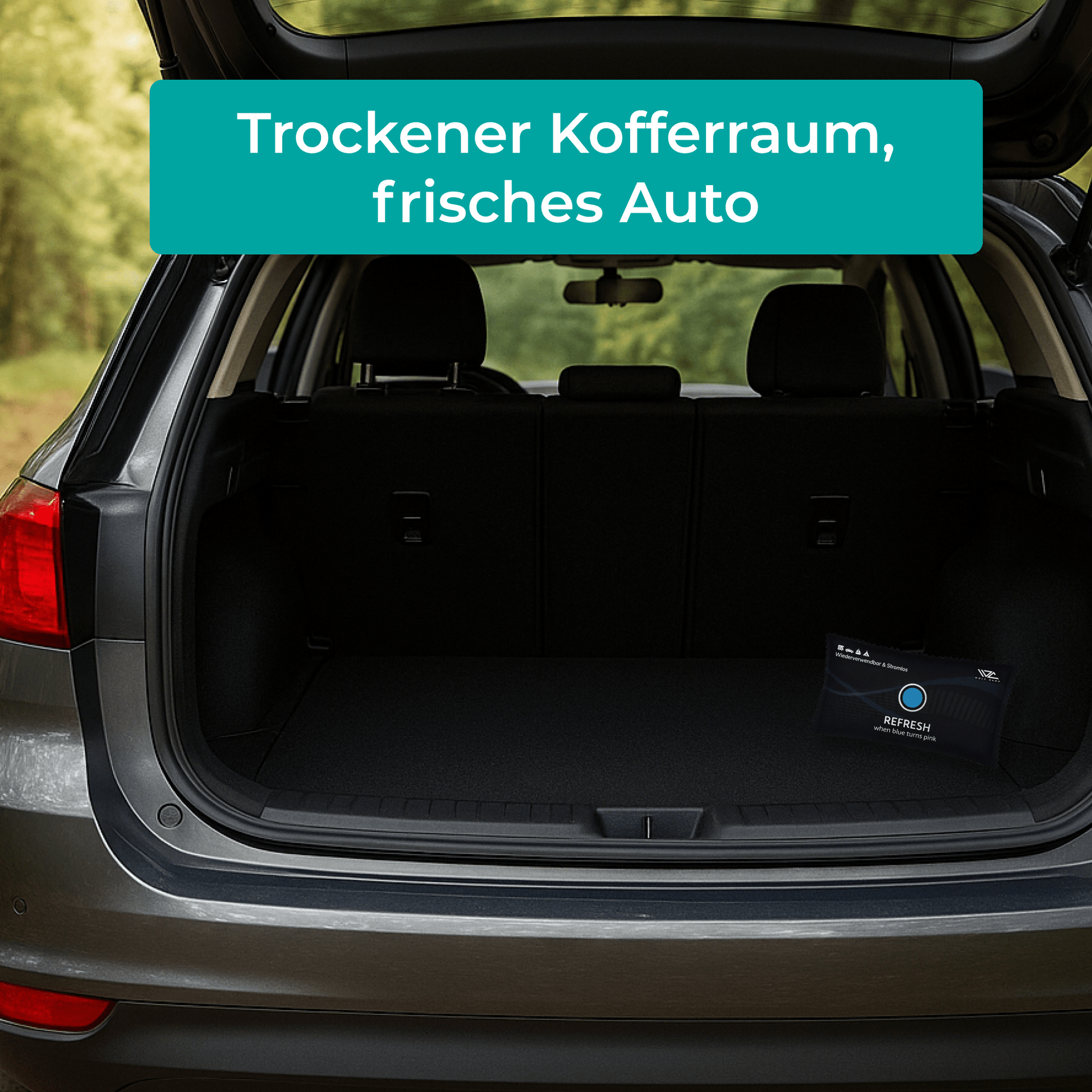 WolfCamp Luftentfeuchter — Wiederverwendbar & Stromlos - ZackFertig